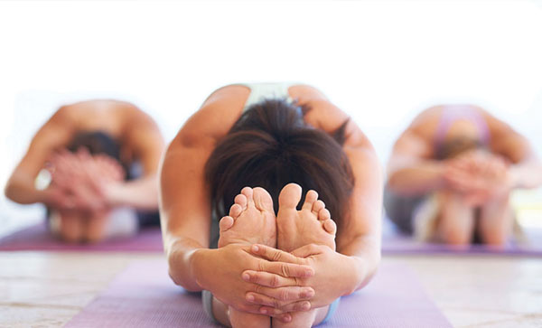 Hatha Yoga Dinámico